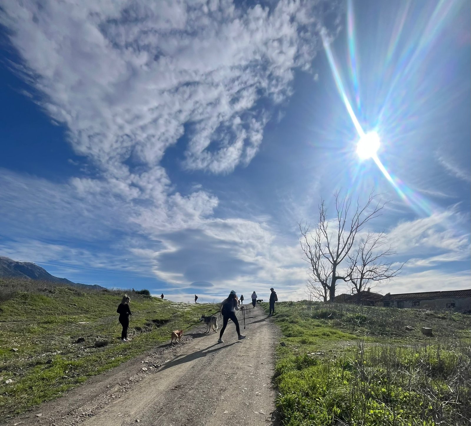 Grupo de personas y perros paseando por un camino de montaña bajo el sol