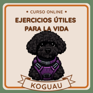 Ejercicios útiles para la vida de un perro