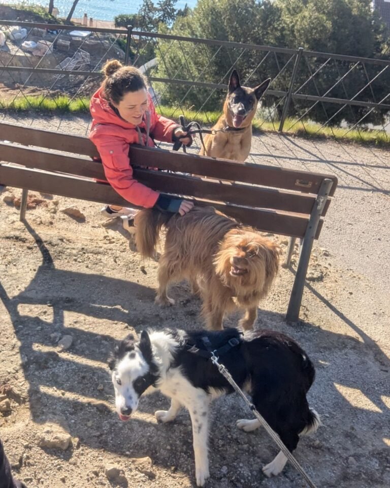 Tutora sujetando la correa mientras varios perros interactúan cerca de ella